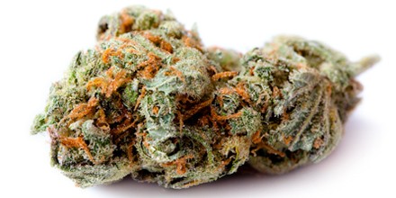Tips On Growing Marijuana