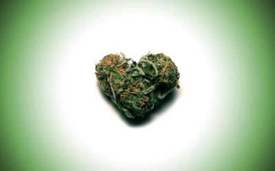 Cannabis Heart
